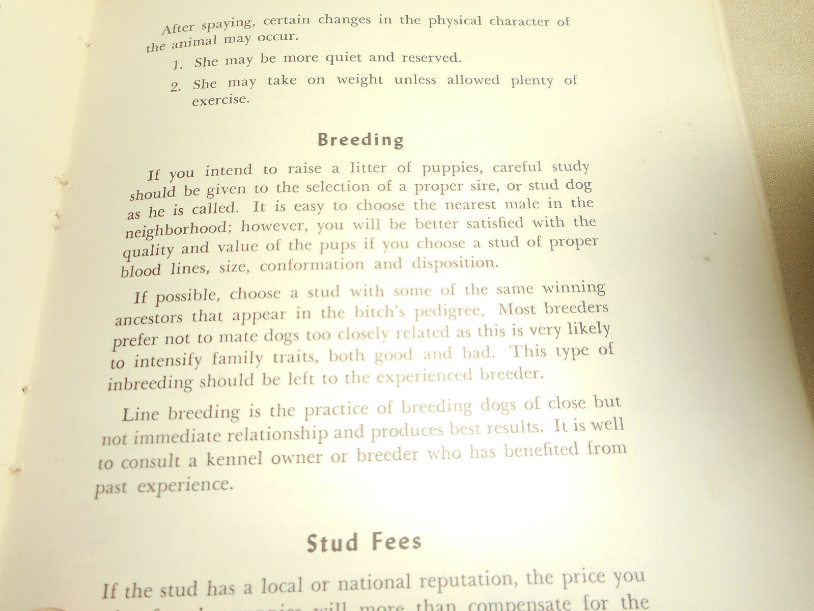 Vintage KASCO MILLS Dog Owners Guide Book 1955 Funny Informative Illustrated - Fresh Stock Dated December 2025