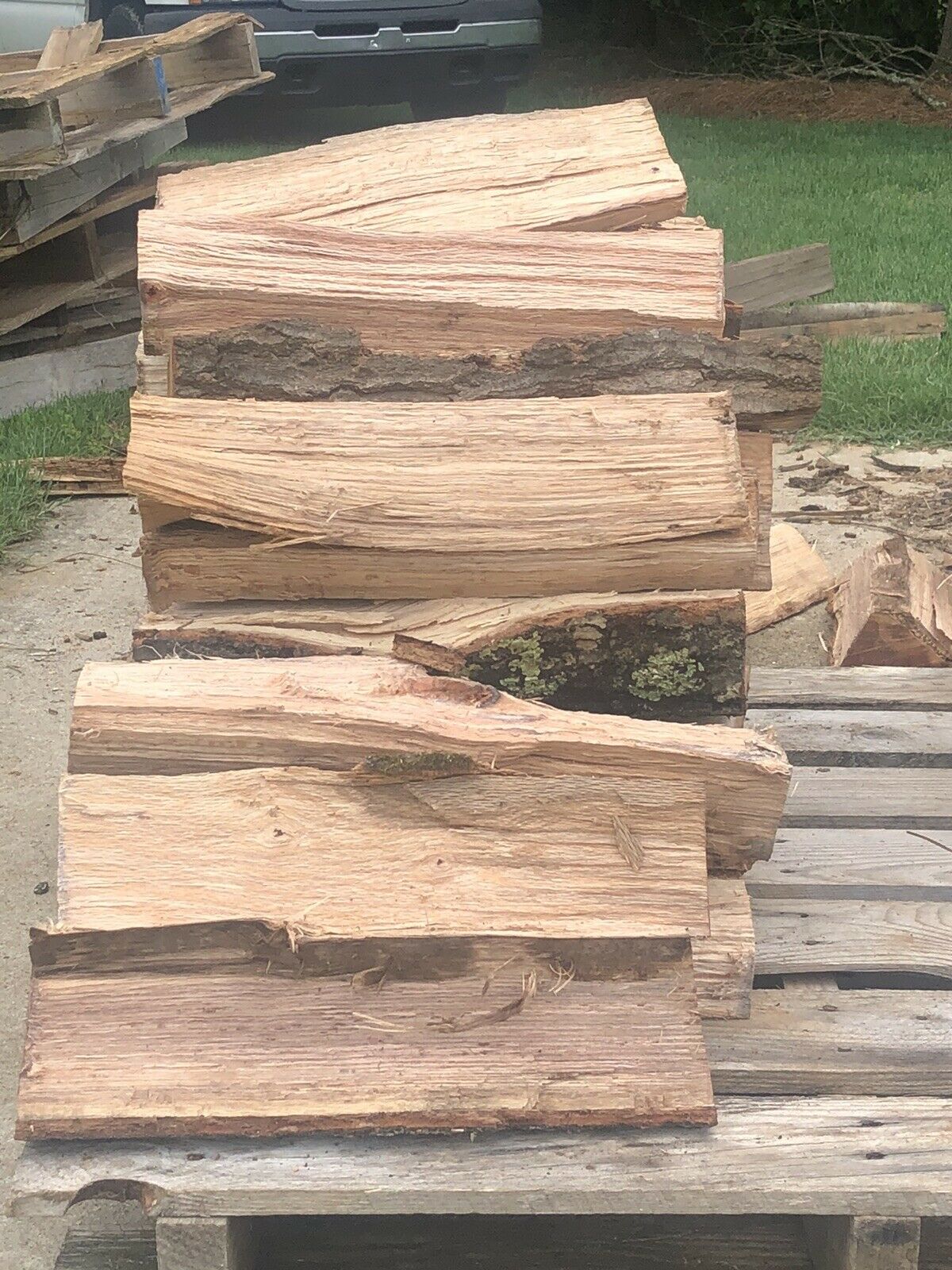 Fire Wood - Fresh Stock Dated February 2026