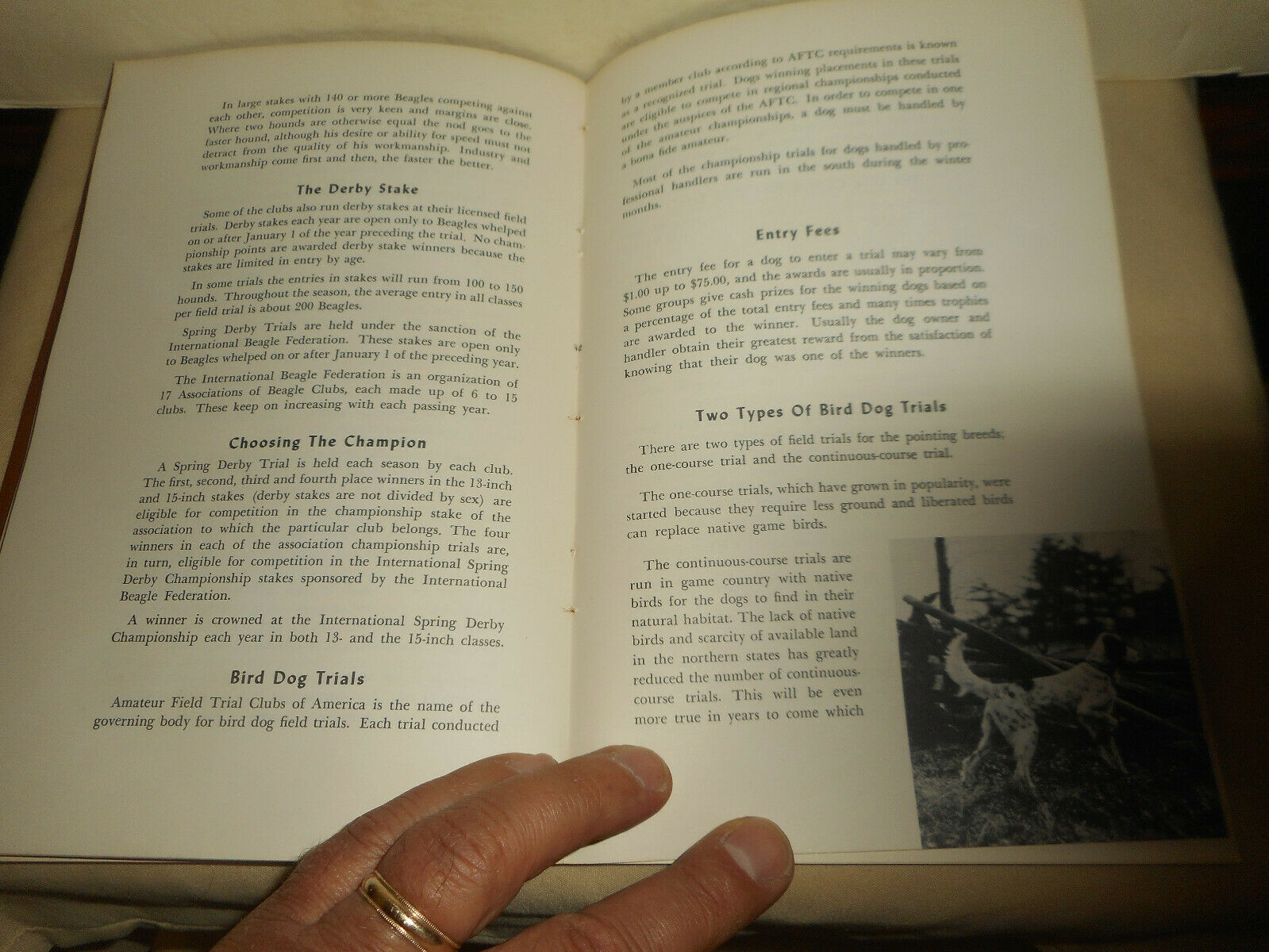 Vintage KASCO MILLS Dog Owners Guide Book 1955 Funny Informative Illustrated - Fresh Stock Dated December 2025