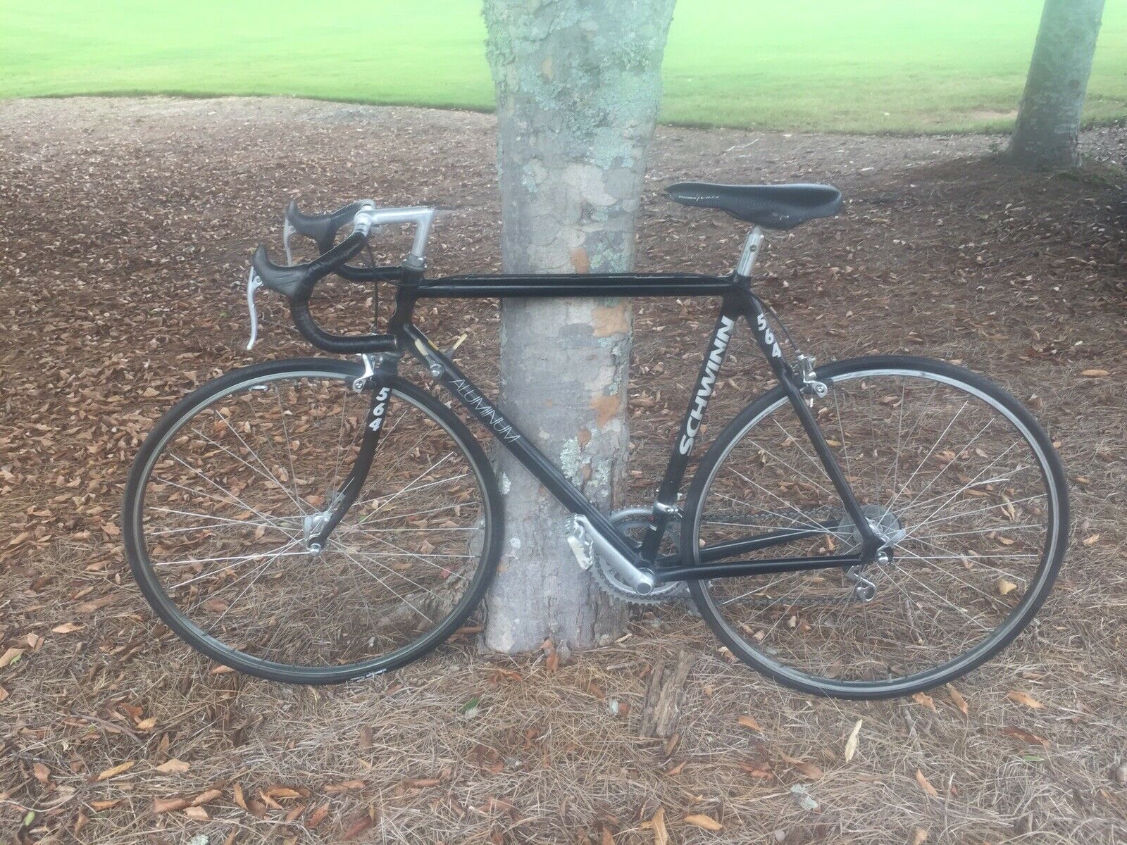 Vintage Schwinn 564 Aluminum Touring Road Bike 21.5” - Fresh Stock Dated February 2026