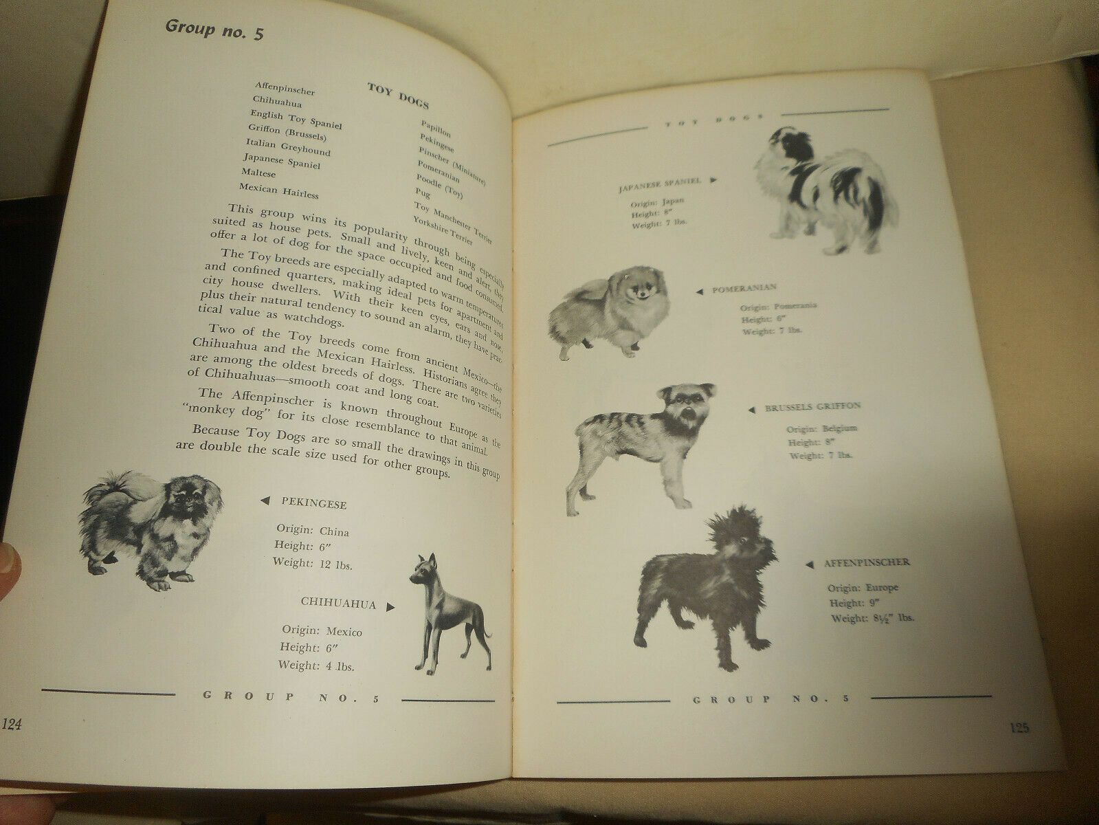 Vintage KASCO MILLS Dog Owners Guide Book 1955 Funny Informative Illustrated - Fresh Stock Dated December 2025