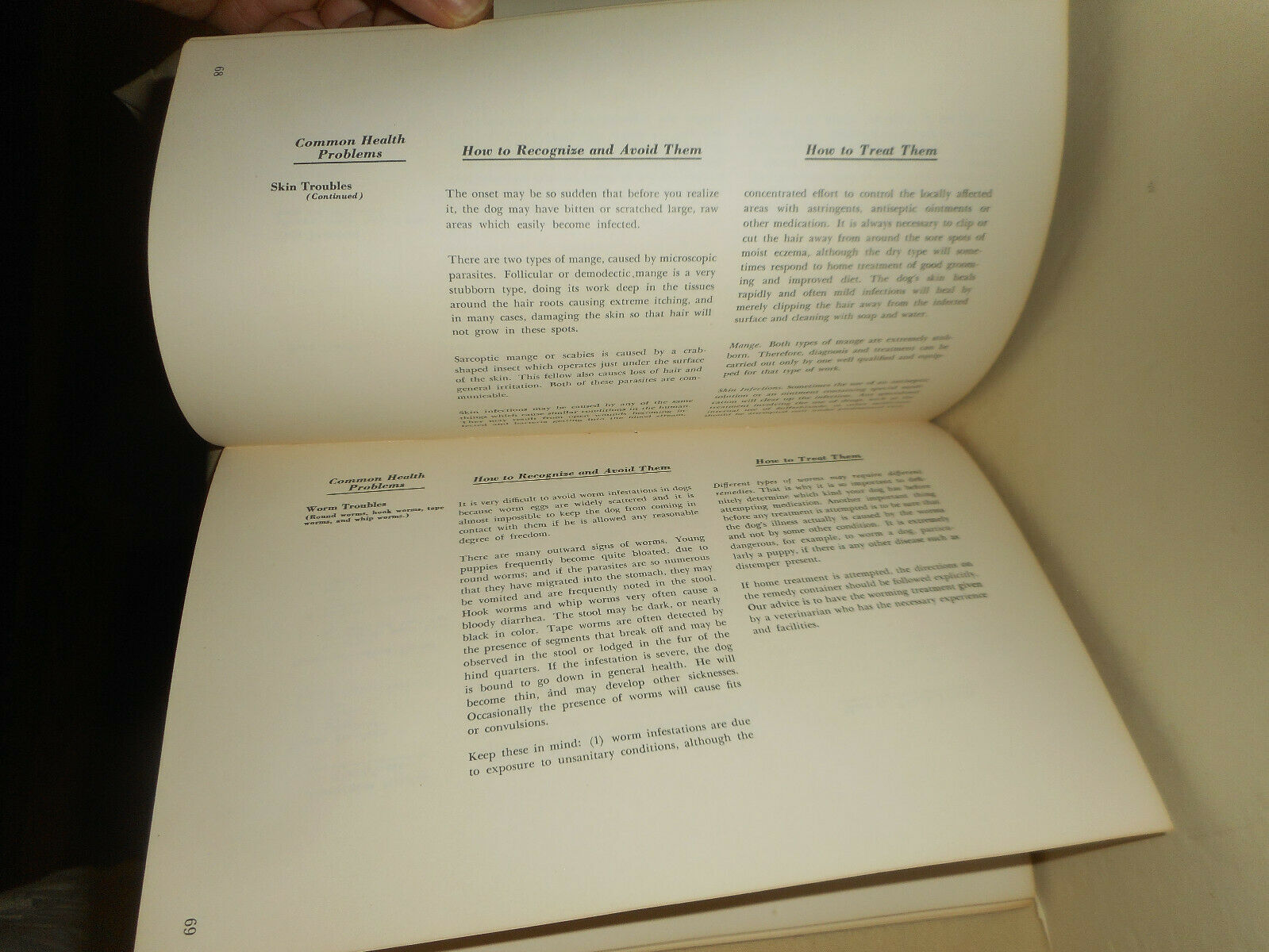 Vintage KASCO MILLS Dog Owners Guide Book 1955 Funny Informative Illustrated - Fresh Stock Dated December 2025