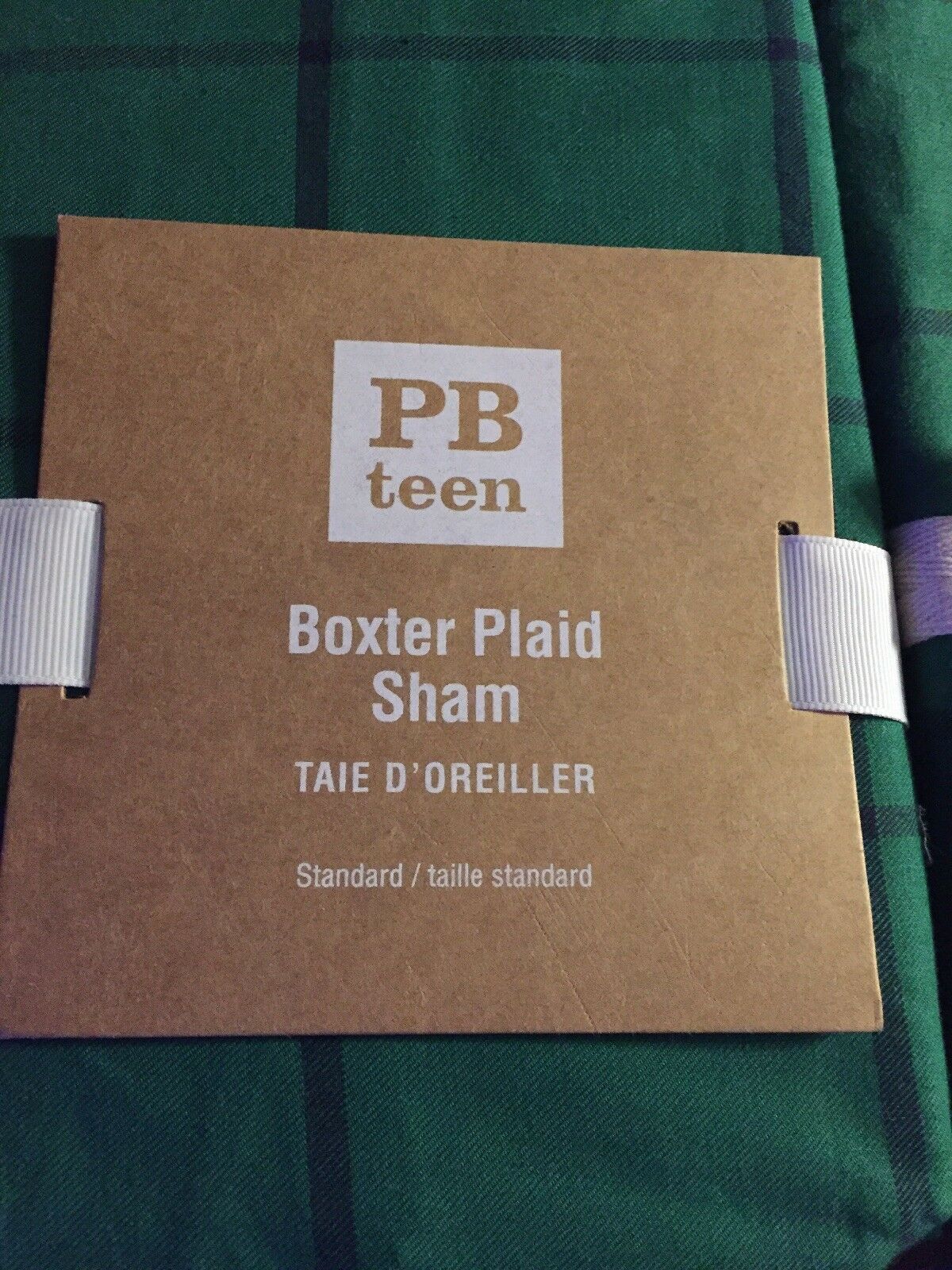 Pottery Barn Teen Boxter Plaid Standard Shams (set of 2). Green with Navy. NWT. - Fresh Stock Dated December 2025