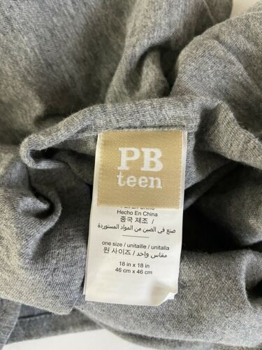 Pottery Barn Teen NFL Football PILLOW COVER Sports League All Team Kids AFC NFC - Fresh Stock Dated December 2025