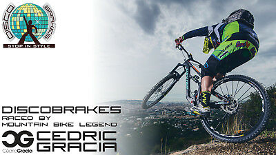 Hayes Stroker Ryde Dyno Disc Brake Pads, DiscoBrakes Bicycle Mountain Bike XC DH - Fresh Stock Dated February 2026