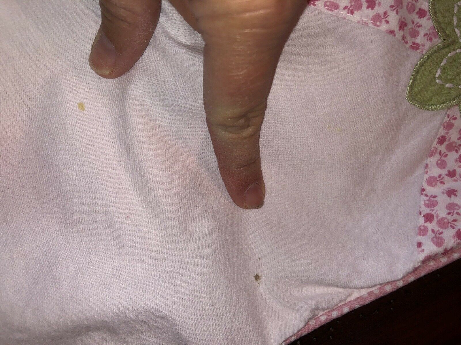 Pottery Barn Kids Decorative Standard Pillow Shams, Set of 2 - Fresh Stock Dated December 2025