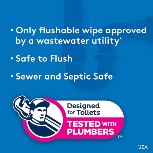 Cottonelle XL Flushable Wipes, Extra Large, 4 Flip-Top Packs, 60 Wipes per Pack - Fresh Stock Dated February 2026