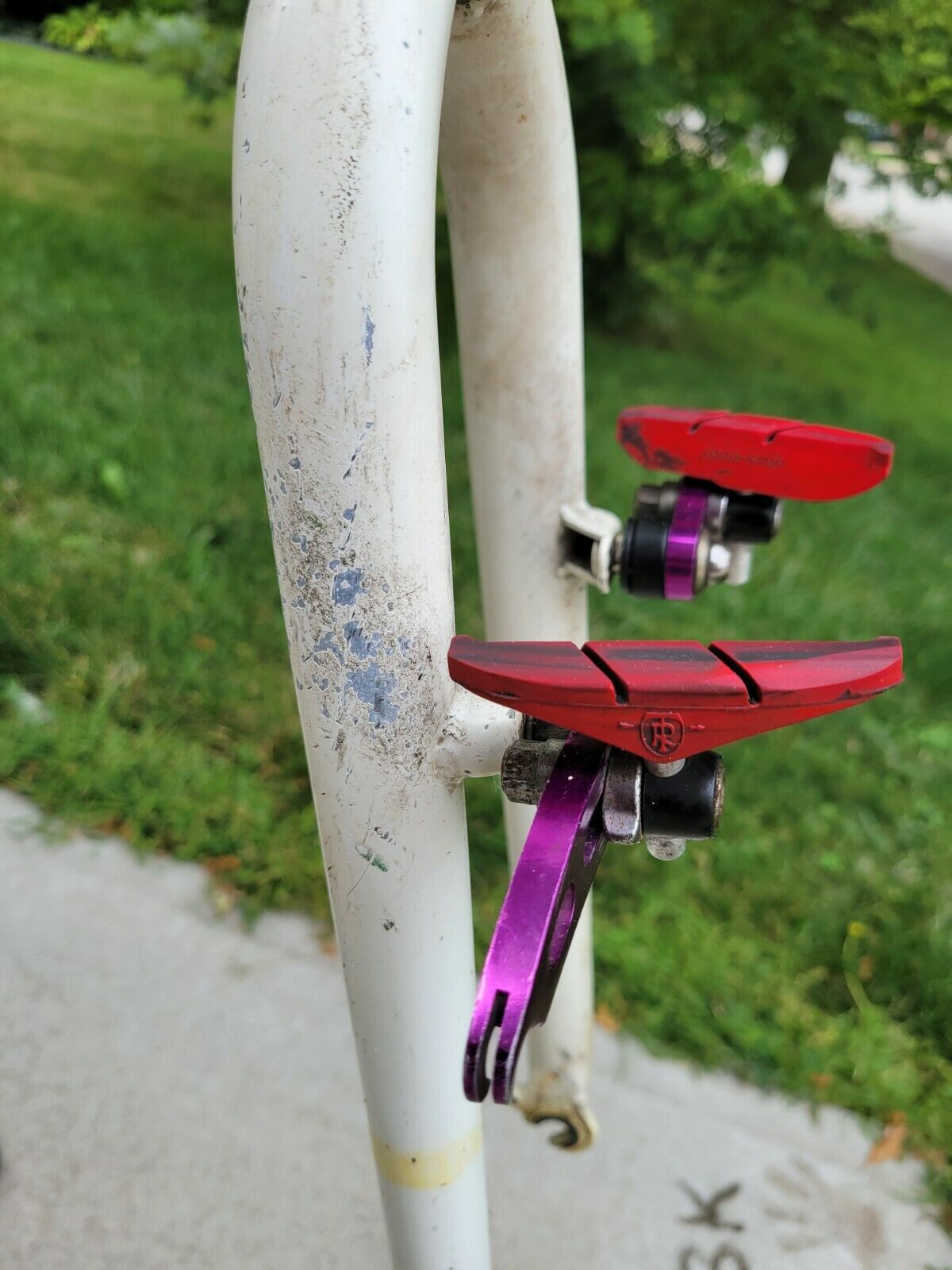 Vintage Barracuda A2R Mountain Bike Tree Amigos - Fresh Stock Dated February 2026