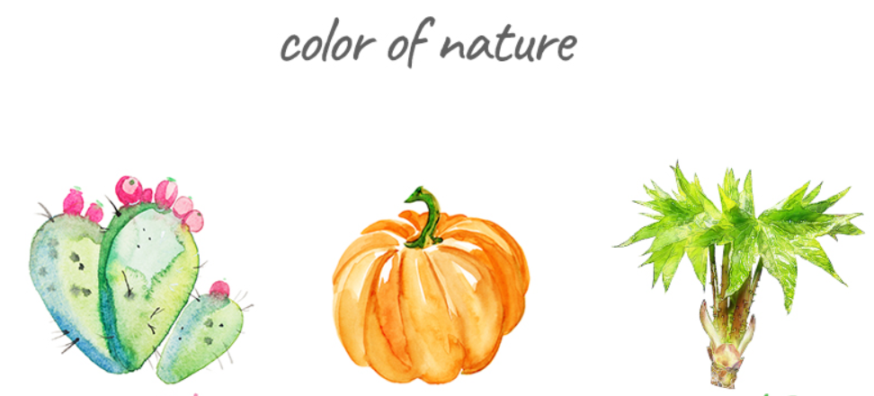 World's only fermented confectionery, Hangwa (Korea Premium Traditional Sweets) - Fresh Stock Dated December 2025