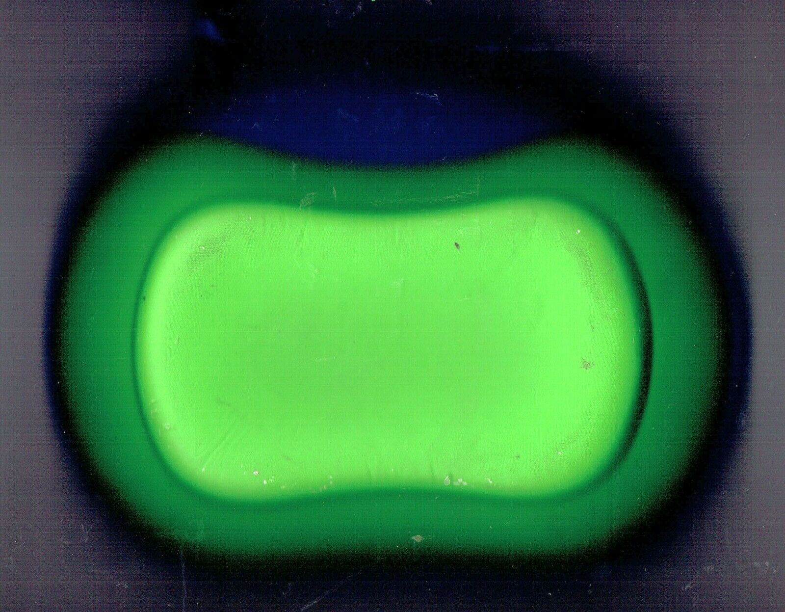 Leapfrog Leapster Handheld Game System Green Carrying Case - Fresh Stock Dated February 2026