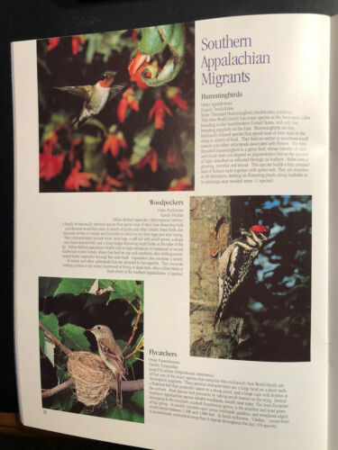 1996 Neotropical Migratory birds of the Southern Appalachians, USDA Forest Svc - Fresh Stock Dated December 2025