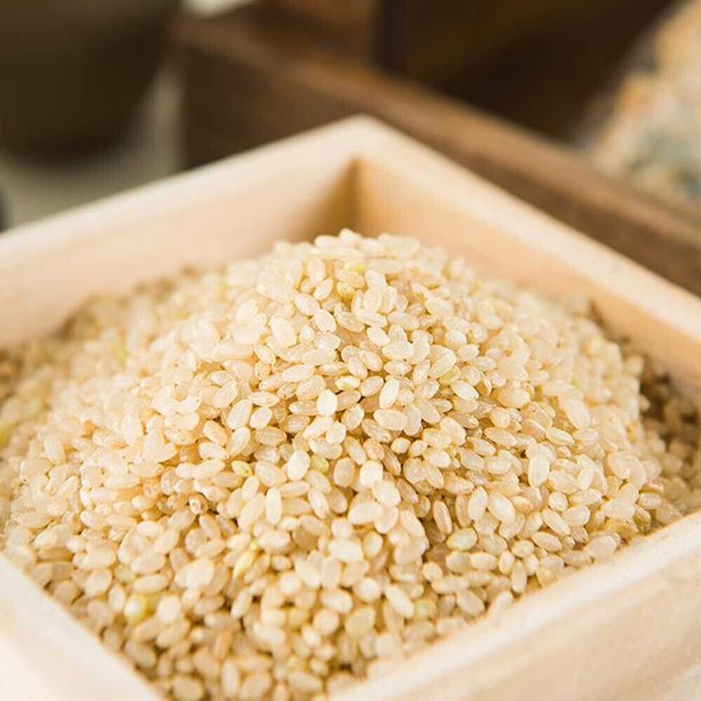 TOTOMI Korean Organic Scorched Brown Rice mulberry leaves, Nurungji, 460g 16.2oz - Fresh Stock Dated February 2026