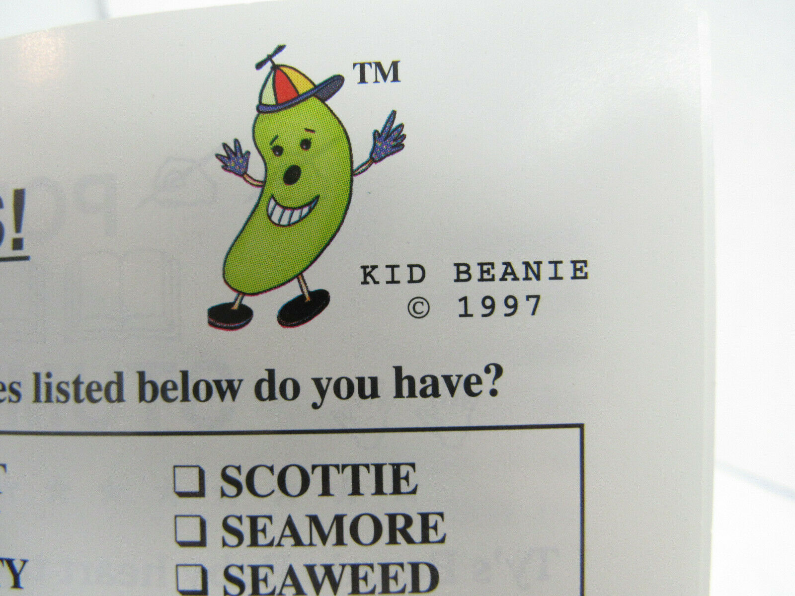 The Beanie Baby Handbook By Les & Sue Fox - Fresh Stock Dated December 2025