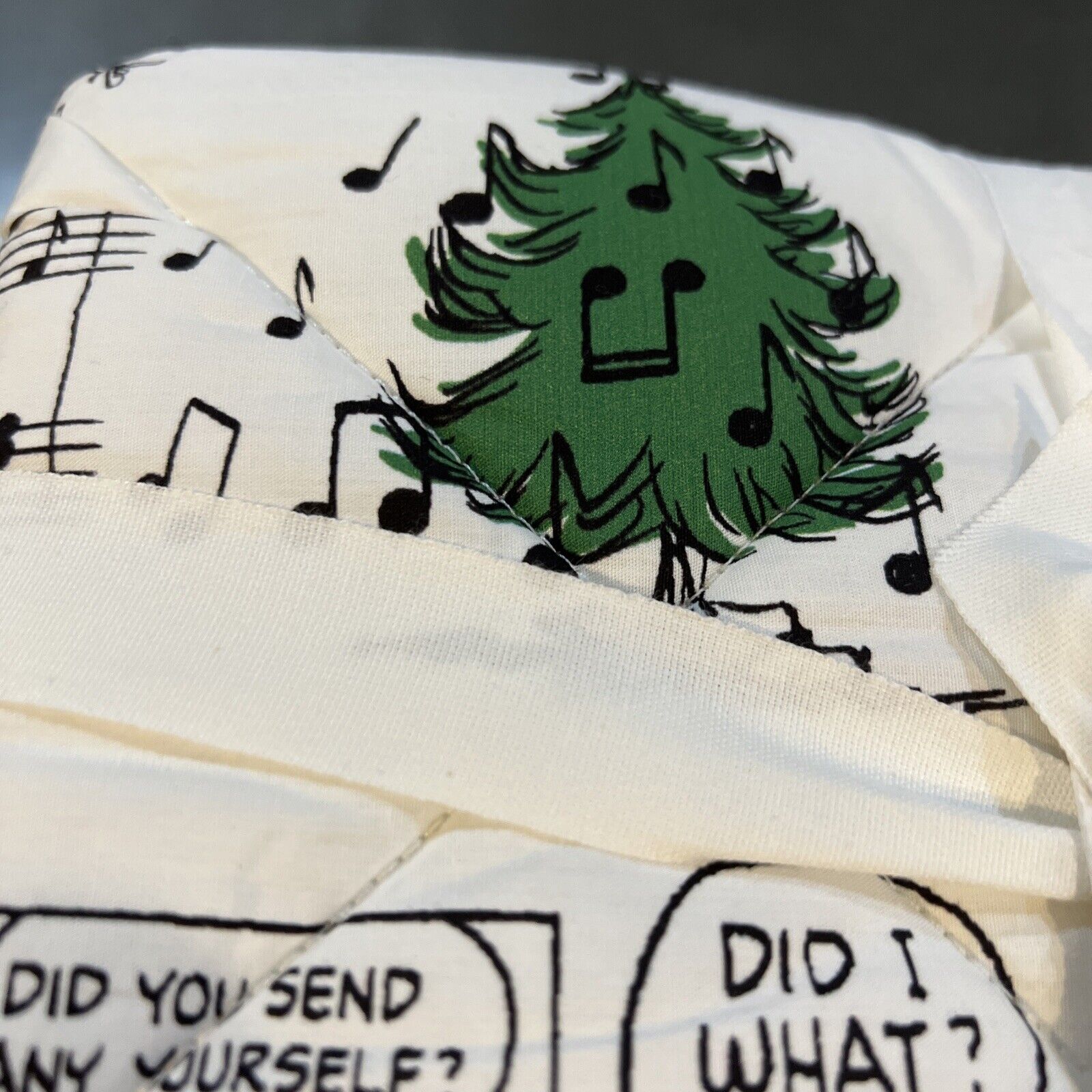 Pottery Barn Kids Peanuts Happy Holiday Charlie Brown Quilted Std. Shams #5464 - Fresh Stock Dated February 2026