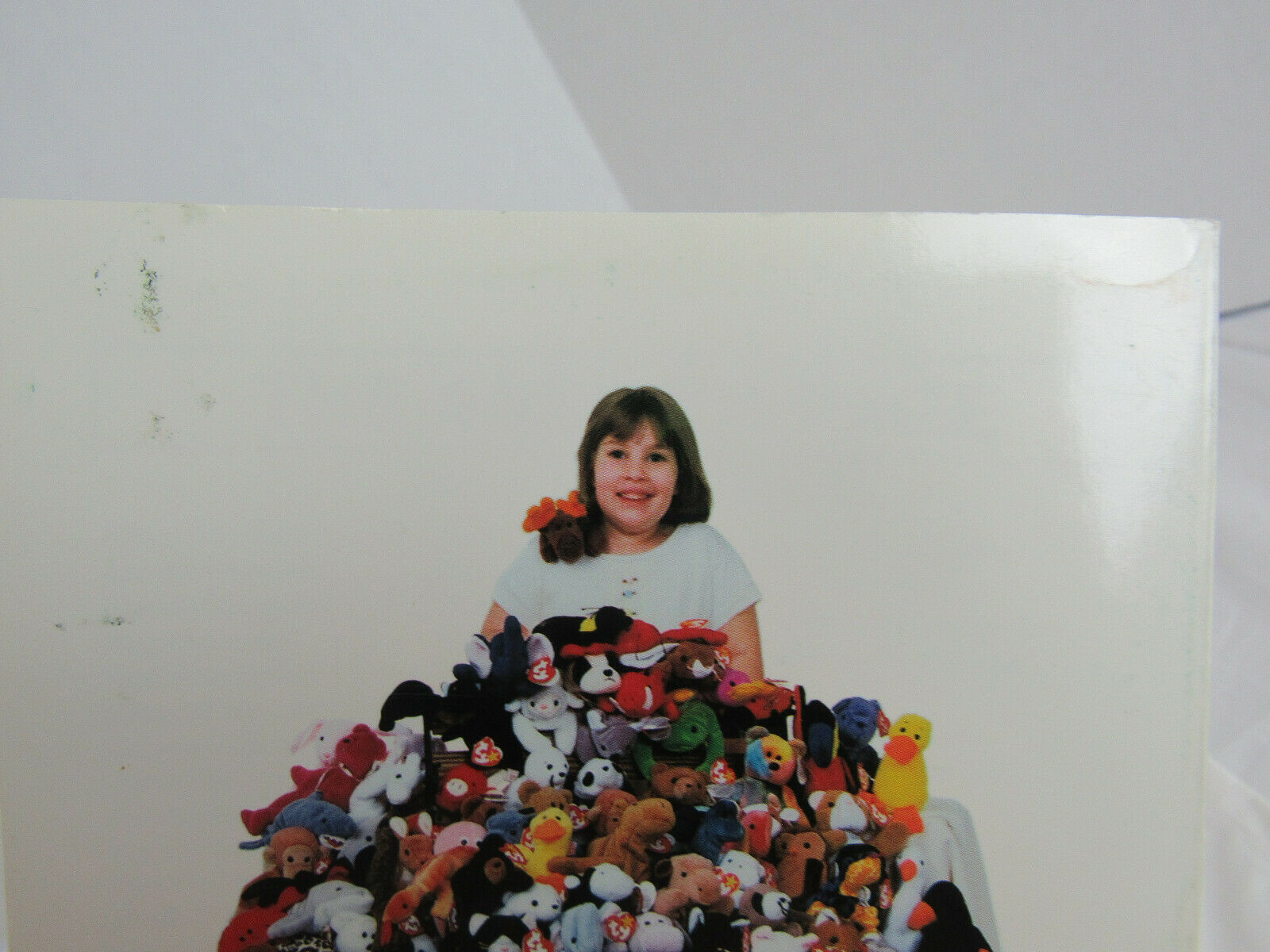 The Beanie Baby Handbook By Les & Sue Fox - Fresh Stock Dated December 2025