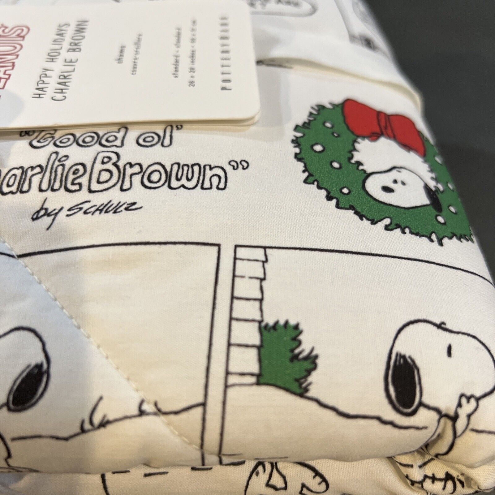 Pottery Barn Kids Peanuts Happy Holiday Charlie Brown Quilted Std. Shams #5464 - Fresh Stock Dated February 2026