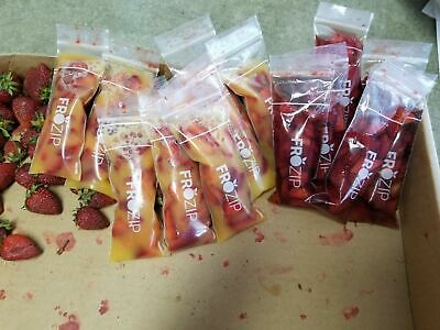 SMALL SIZE Frozip 125 Disposable Ice Popsicle Mold Bags| BPA Free Freezer Tub... - Fresh Stock Dated February 2026