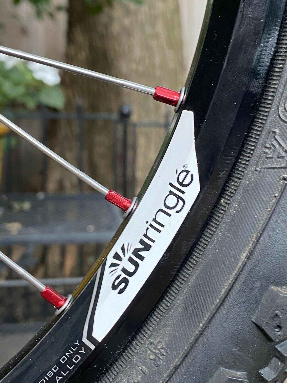 PK Ripper BMX Bike - Fresh Stock Dated February 2026