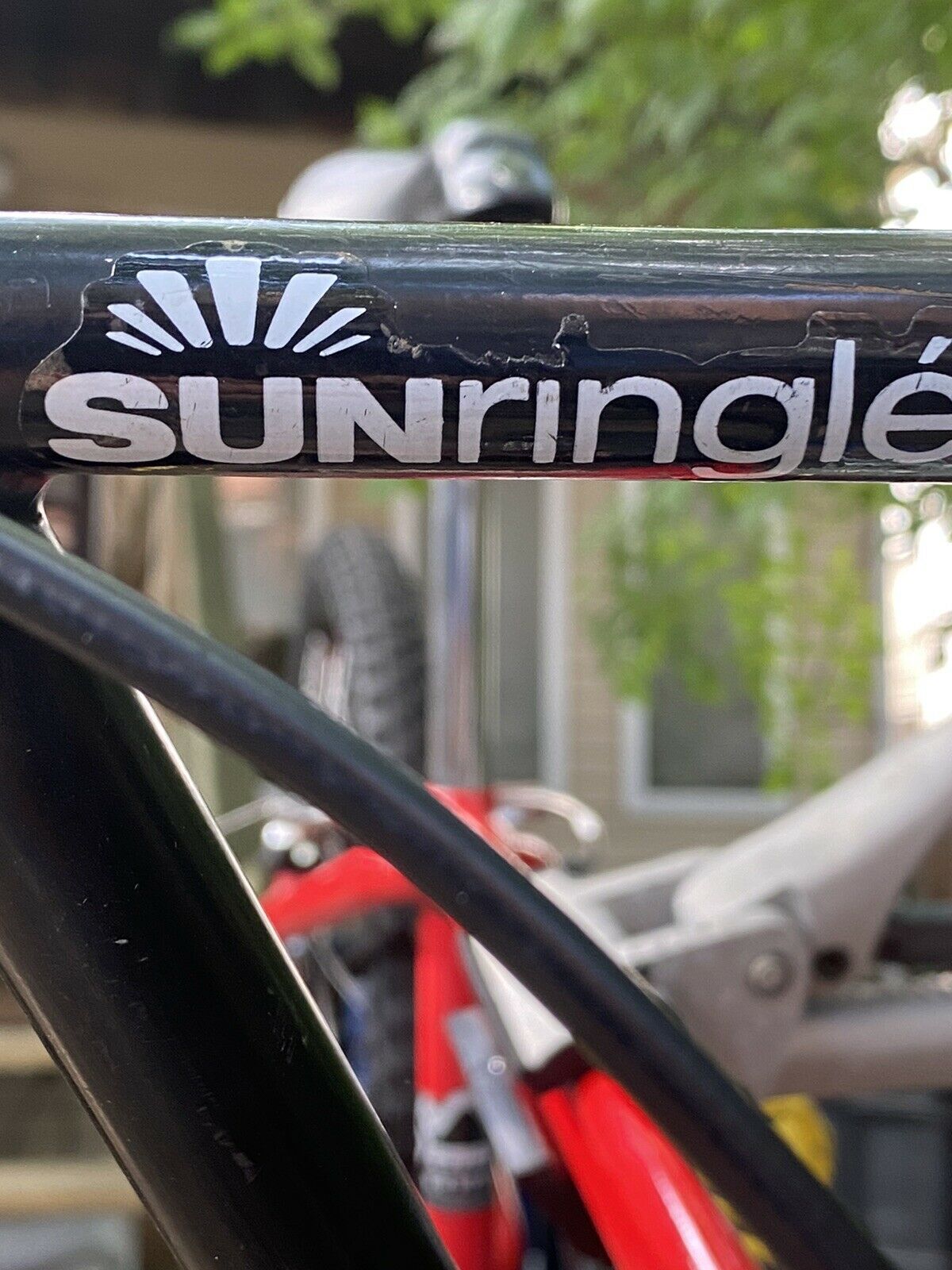 PK Ripper BMX Bike - Fresh Stock Dated February 2026