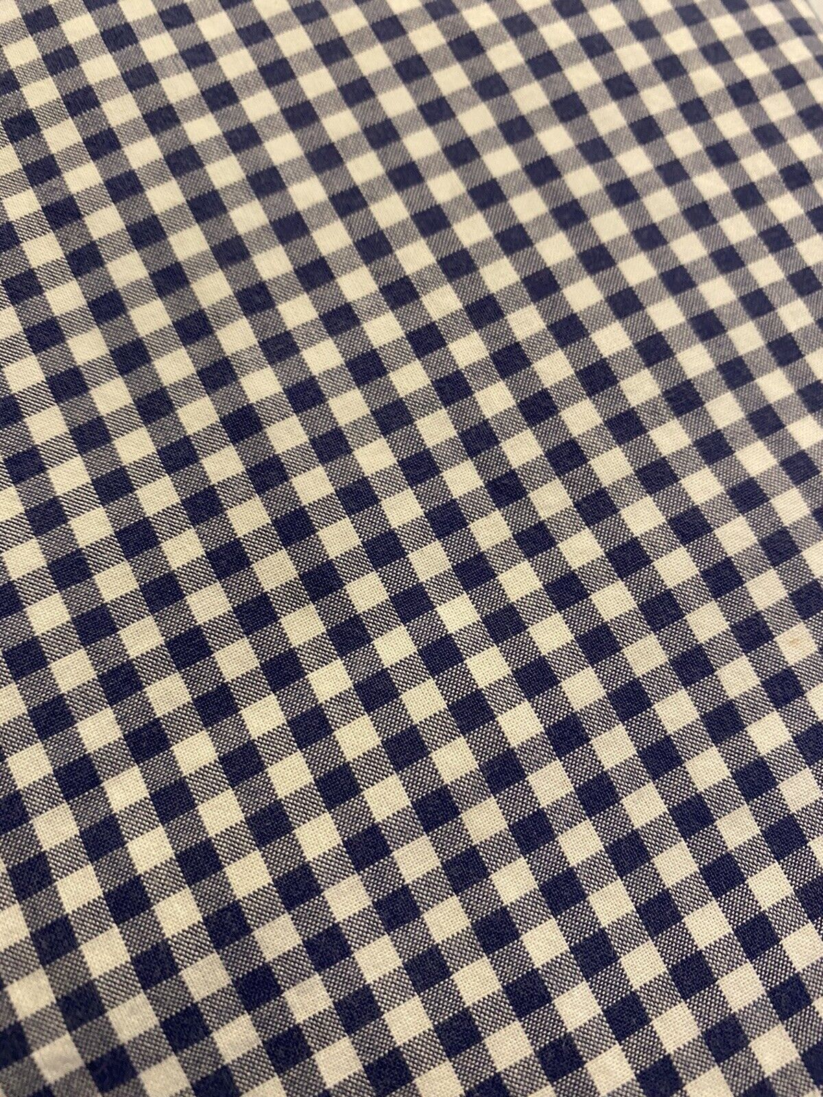 Pottery Barn Kids Blue White Check Gingham Standard Pillow Shams Set Of 2 - Fresh Stock Dated February 2026