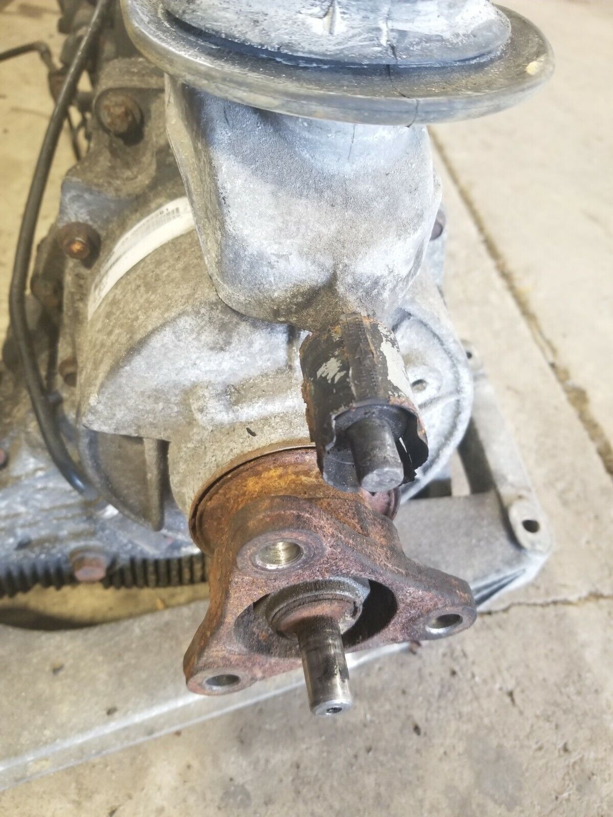 2001-2006 E46 BMW 330XI 5 SPEED MANUAL TRANSMISSION COMPLETE OEM #259CN - Fresh Stock Dated February 2026