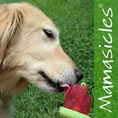 Popsicle Molds with Sticks Ice Pop Maker | 6 Pieces BPA Free w/ Silicone Funn... - Fresh Stock Dated February 2026