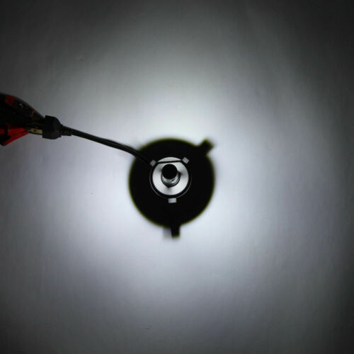 9003 H4 LED Motorcycle Headlight Bulb Hi/Lo Fog Light For Yamaha Kawasaki Ducati - Fresh Stock Dated February 2026