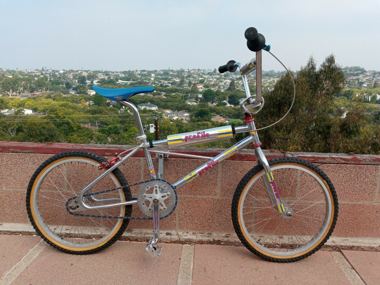 Profile Champ frame & fork old school bmx - Fresh Stock Dated December 2025