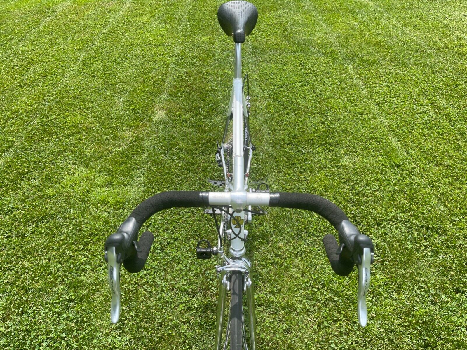 Colnago Arabesque - Fresh Stock Dated December 2025