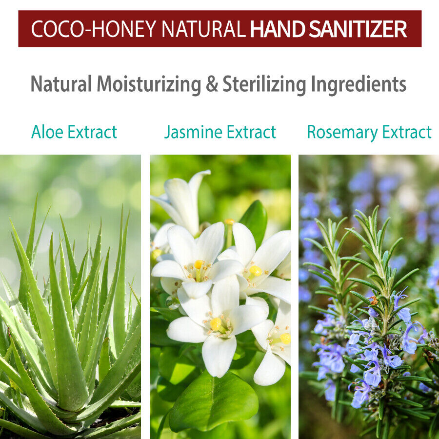 Cocohoney Hand Sanitizer (70% Ethanol Gel) 16.9 oz (12 PACK) (EXP. 04/2023) - Fresh Stock Dated February 2026