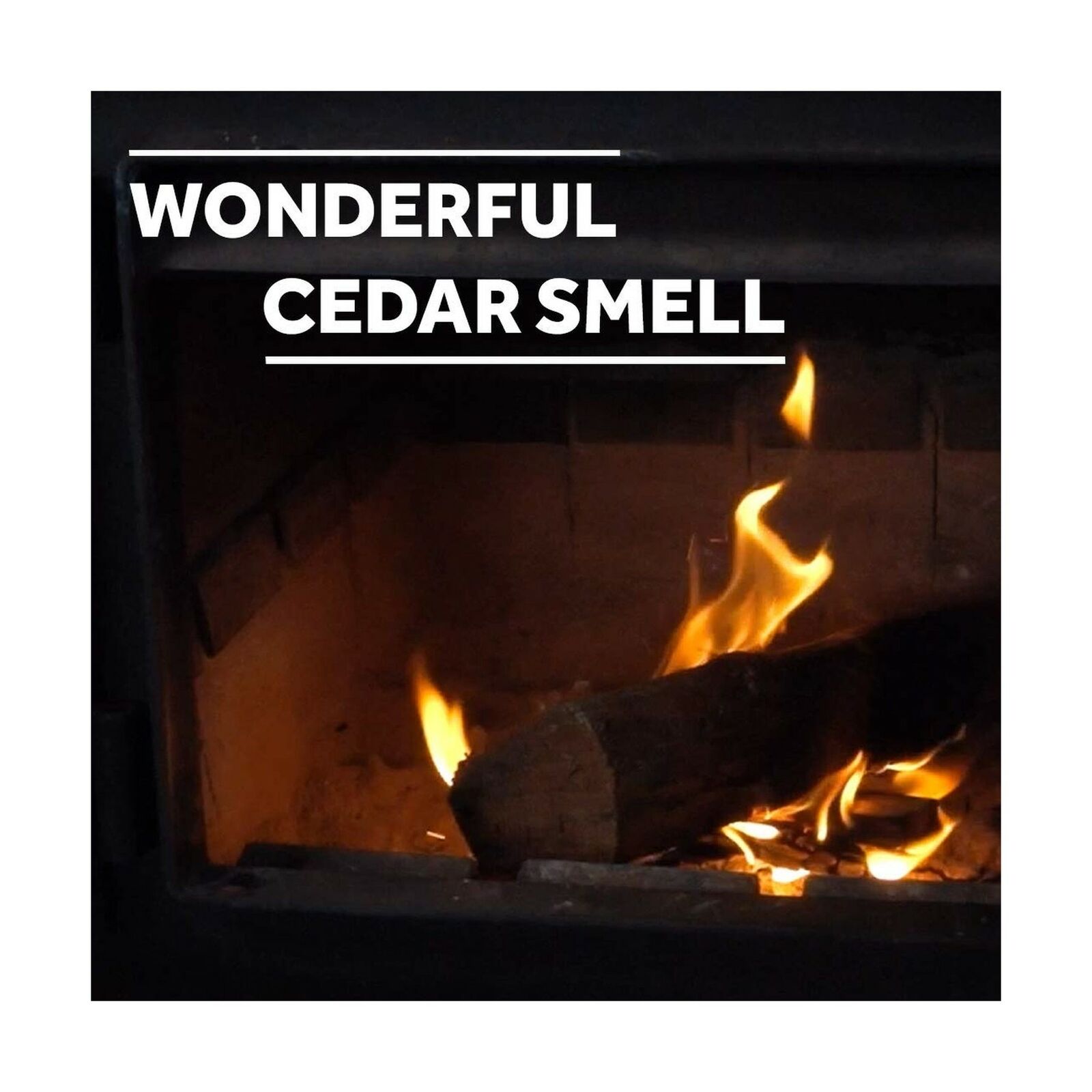 Fire Starter Kindling - 100% All-Natural Incense-Cedar Kindling - Fast, Easy ... - Fresh Stock Dated February 2026