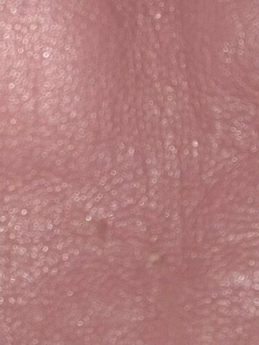 Dusty Pink DANIER Leather Vintage Skirt Sz 12 - Fresh Stock Dated December 2025