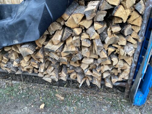 Natural Oak Hardwood Mix Firewood Bundle for Fireplace & BBQ - Fresh Stock Dated December 2025
