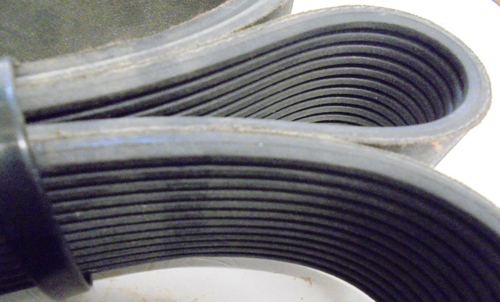 DYNACRAFT SERPENTINE BELT, D1108-4213, LENGTH 86.50'' - Fresh Stock Dated March 2026