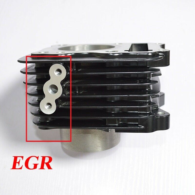 EGR Cylinder Piston Kit 125cc For Suzuki GN125 EN125 GS125 GZ125 TU125 DR125 - Fresh Stock Dated February 2026