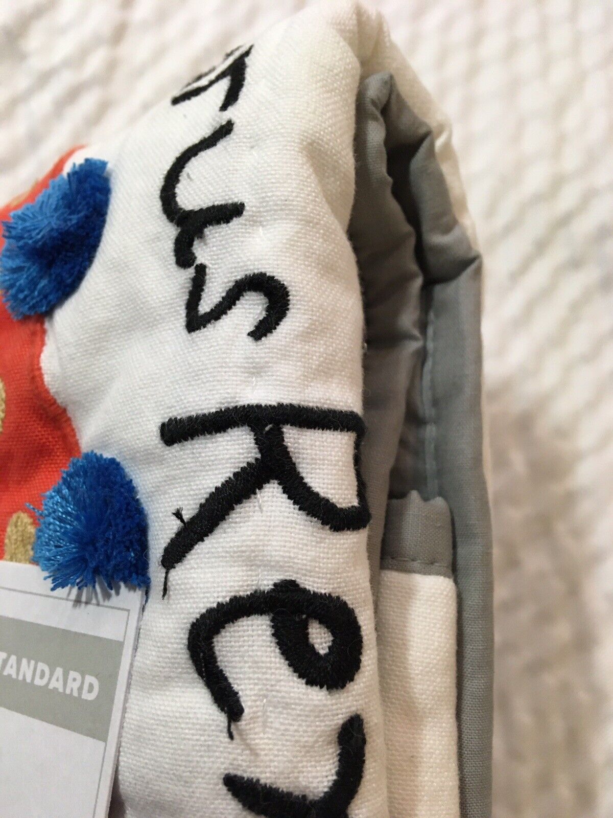 NWT! Pottery Barn Kids Finn Dino Sham/Standard/Multicolor/.50 - Fresh Stock Dated February 2026