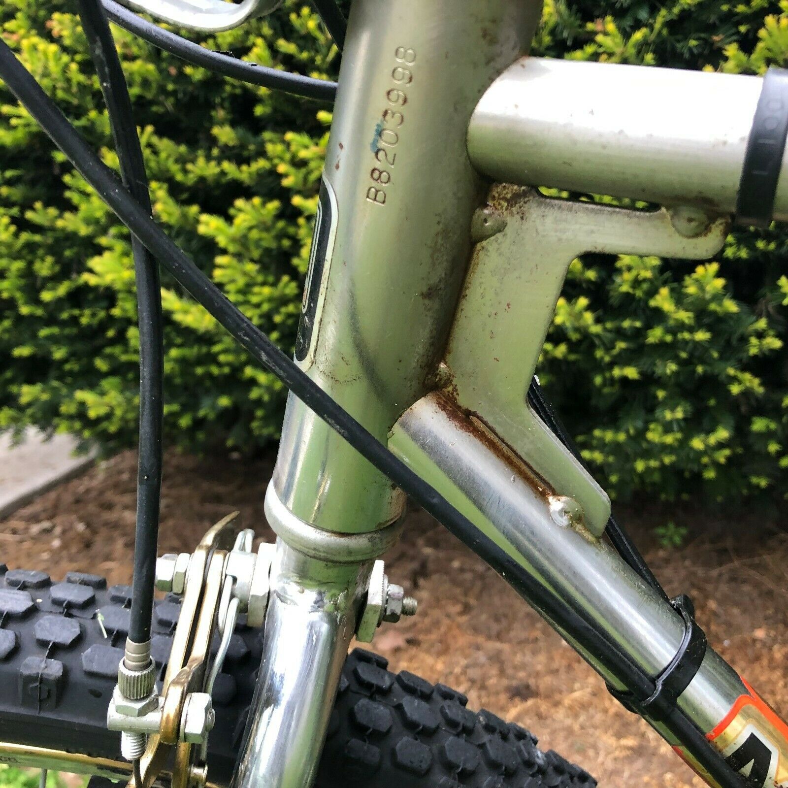 1981 Murray Baja  Mountain Bike  great working  cosmetic condition for the year - Fresh Stock Dated February 2026