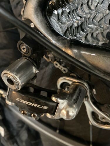 2019 Specialized Allez Sagan 56cm - Fresh Stock Dated February 2026