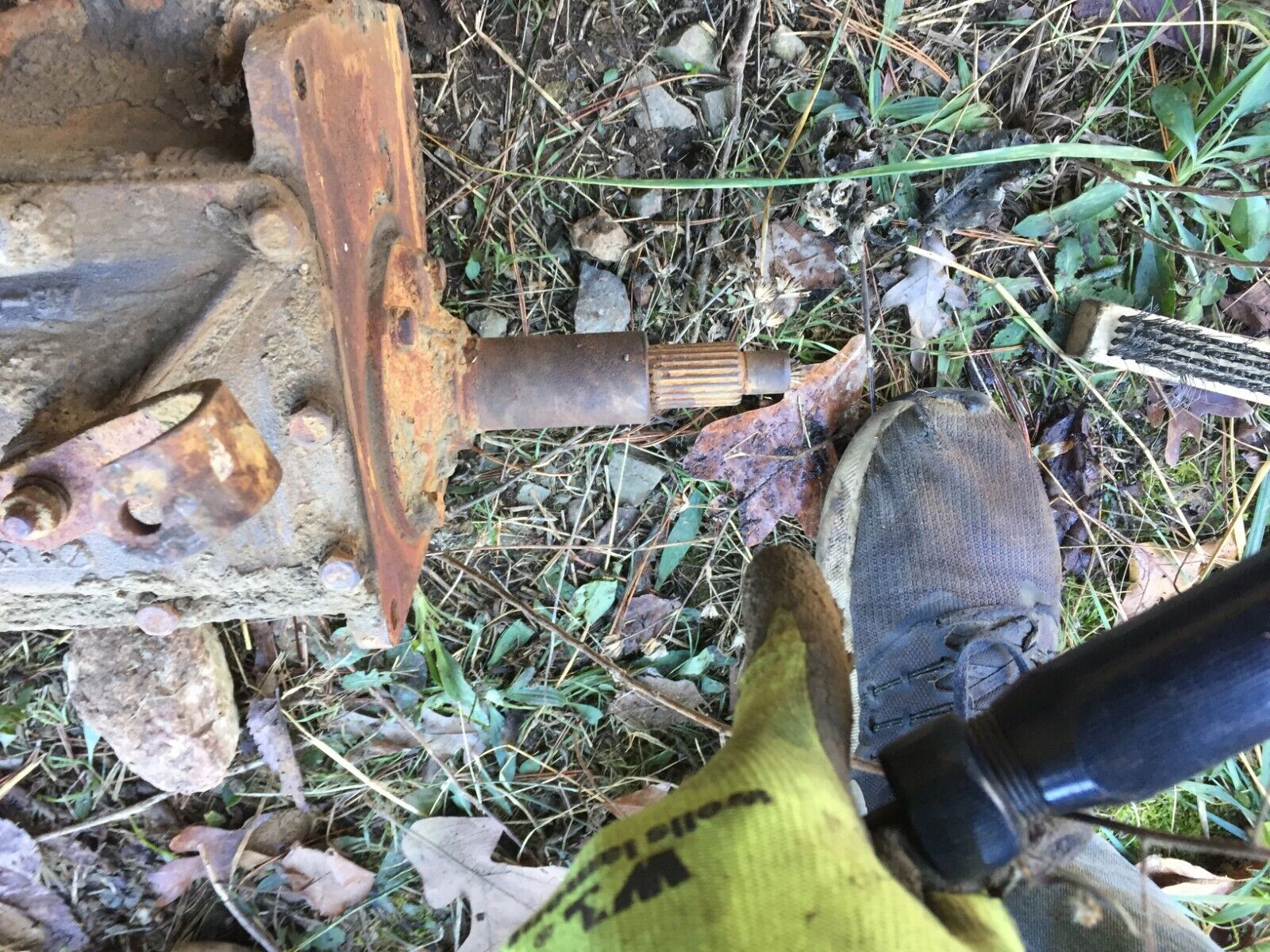 1958 1959 1960 1961? Ford car 3 speed transmission manual standard three unk - Fresh Stock Dated February 2026