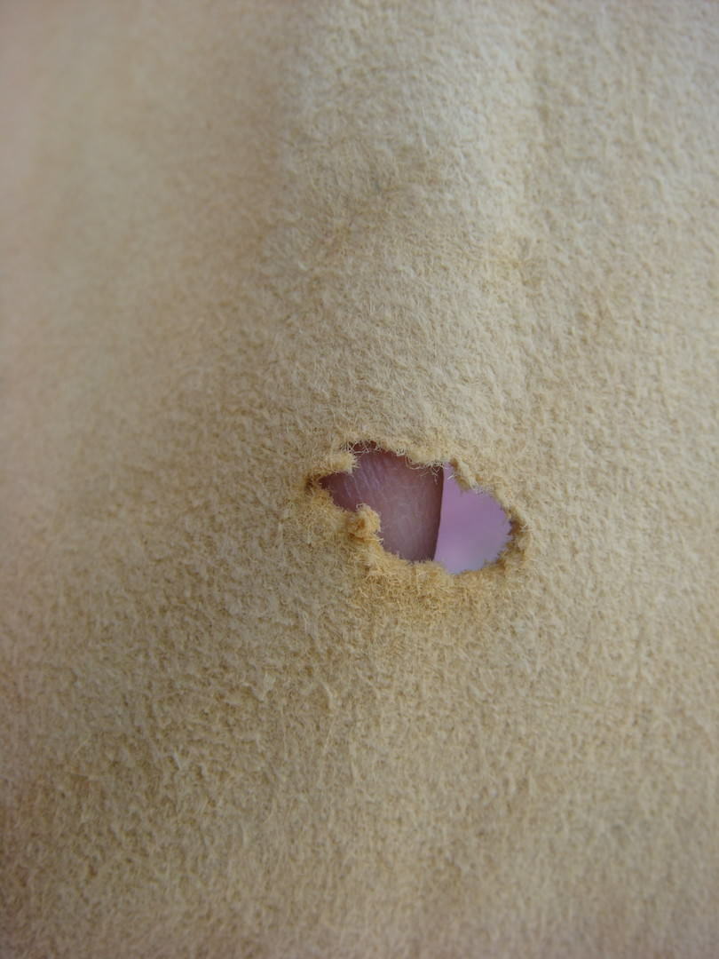 Ralph Lauren Country Collection Chamois Suede Skirt Adjustable Waist - Fresh Stock Dated December 2025