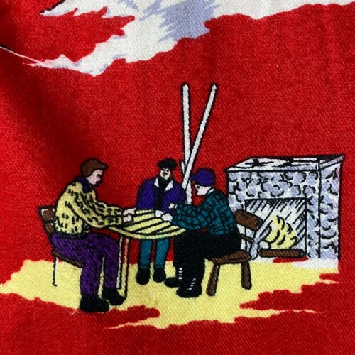 VTG CAMBRIDGE DRY GOODS Skirt Ski Print Aspen Snowmass Pocket Flannel Sz S - Fresh Stock Dated February 2026