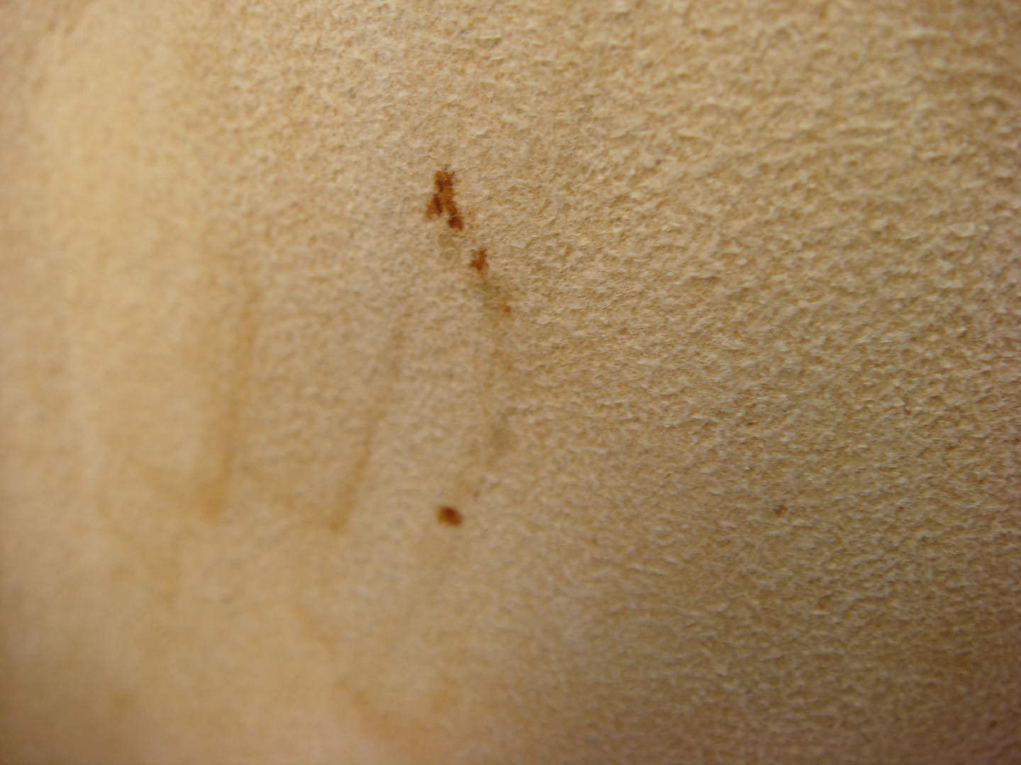 Ralph Lauren Country Collection Chamois Suede Skirt Adjustable Waist - Fresh Stock Dated December 2025