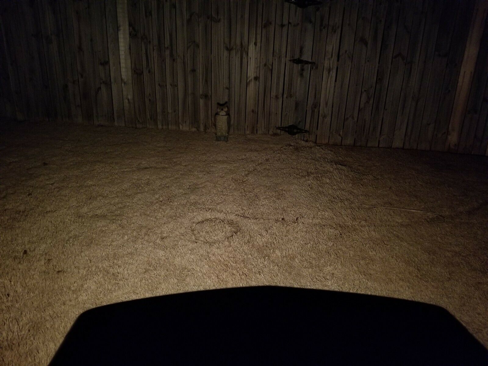 1 Super Brite LED Honda Headlight Lamp Bulb XR 400 XR650 R 650 H22 light; 12v DC - Fresh Stock Dated February 2026