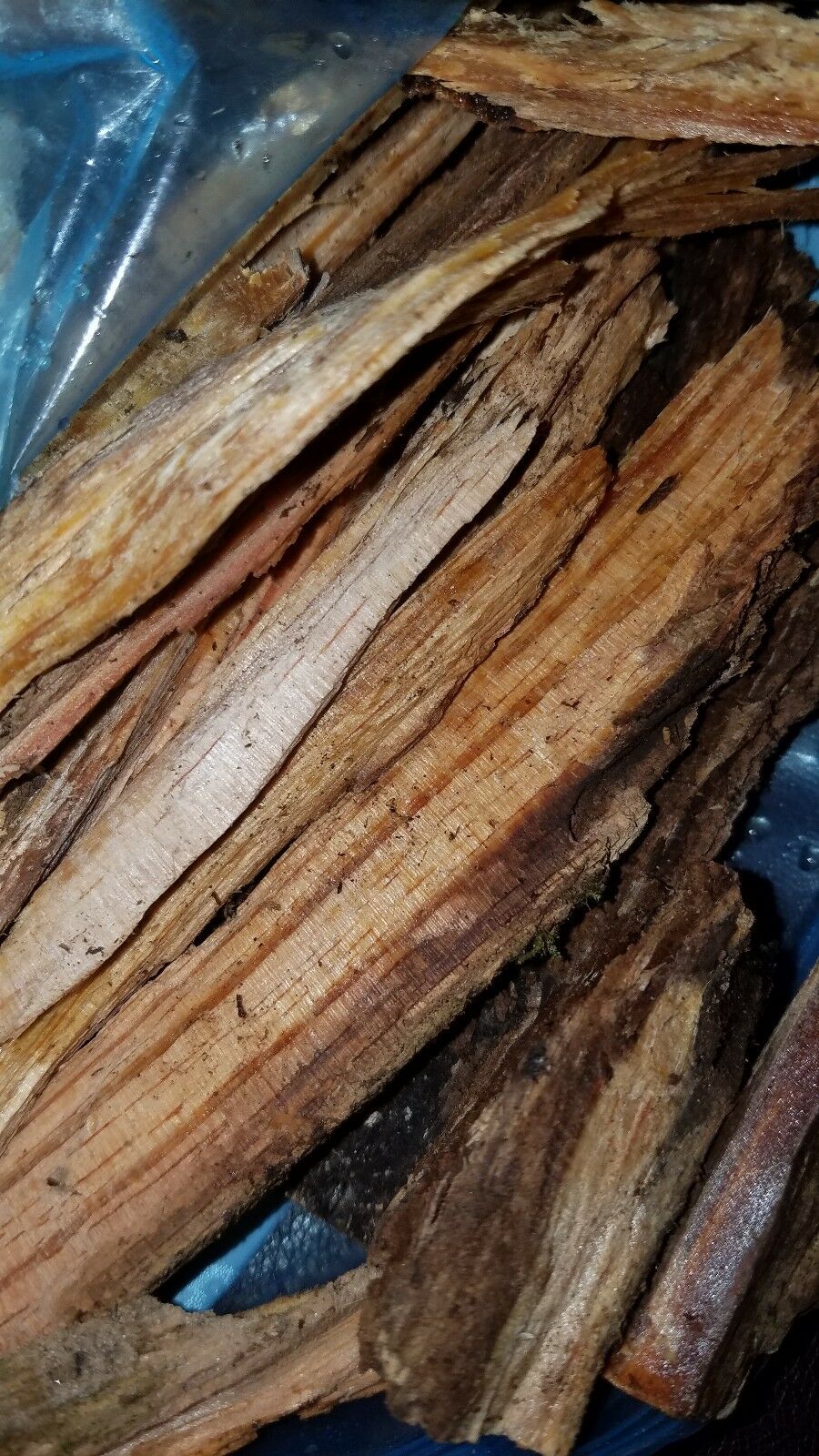 Fat lighter Kindling Fire Starters Fatwood Splints packs - Fresh Stock Dated December 2025