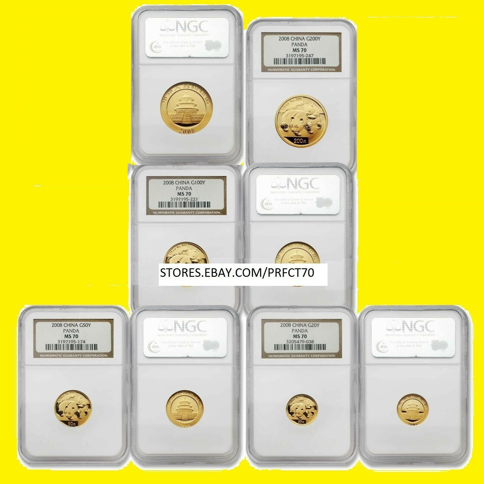 2008 CHINA pure GOLD PANDA 4 coins SET perfect NGC MS 70 rare - Fresh Stock Dated February 2026