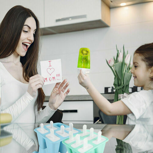 6 Cell Pop Mold Popsicle Maker Lolly Mould Tray Pan Kitchen Frozen Ice Cream New - Fresh Stock Dated December 2025