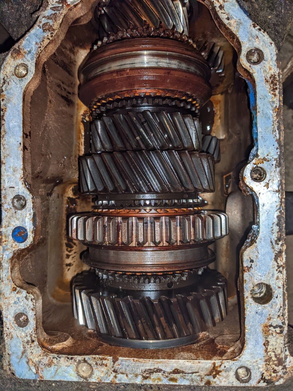 1980 - 1982 Jeep J10 J20 Pickup Truck 4.2L Engine 4 Speed MANUAL TRANSMISSION MT - Fresh Stock Dated February 2026