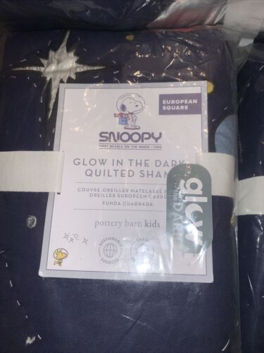Pottery Barn Kids F/Q Quilt Snoopy Glow In The Dark W/2 Euro & 2 Std Shams - Fresh Stock Dated December 2025
