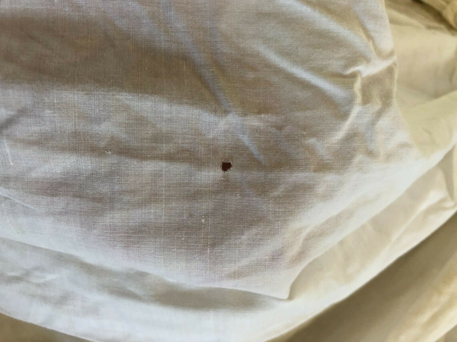 Antique Vintage Cotton Woman's Skirt Petticoat - Fresh Stock Dated February 2026