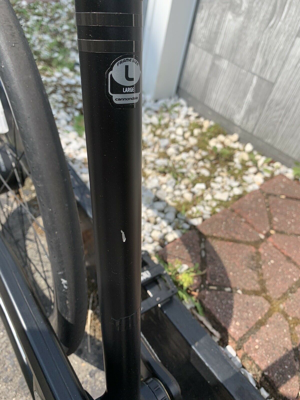 CANNONDALE OnBIKE BICYCLE RARE COLLECTIBLE SPORTS ON 250 LIMITED MODEL LARGE L - Fresh Stock Dated February 2026